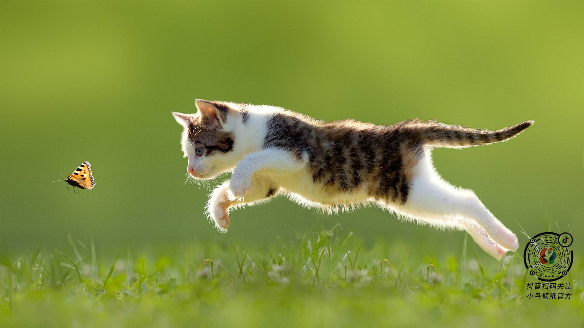 _热火防守如铁，赢得关键胜利_，热火队防守