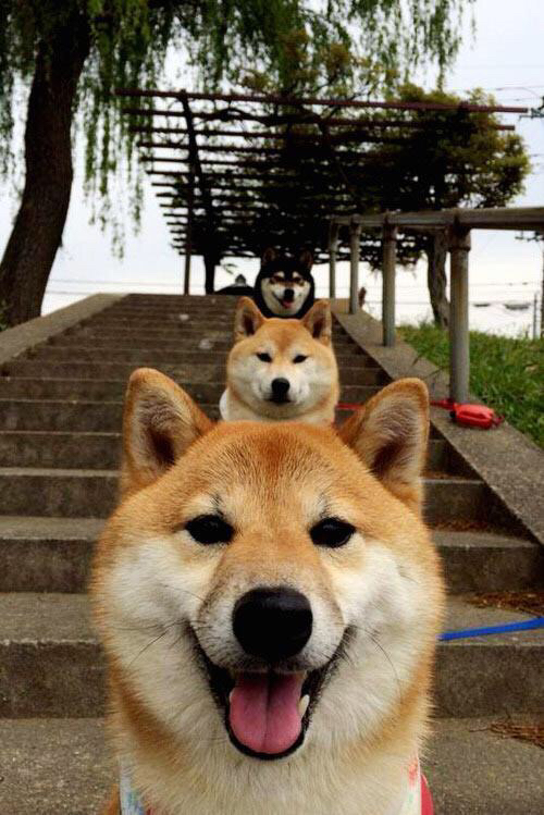 开yun体育-“校园足球文化节精彩纷呈，青少年踢出青春风采”，校园足球艺术节